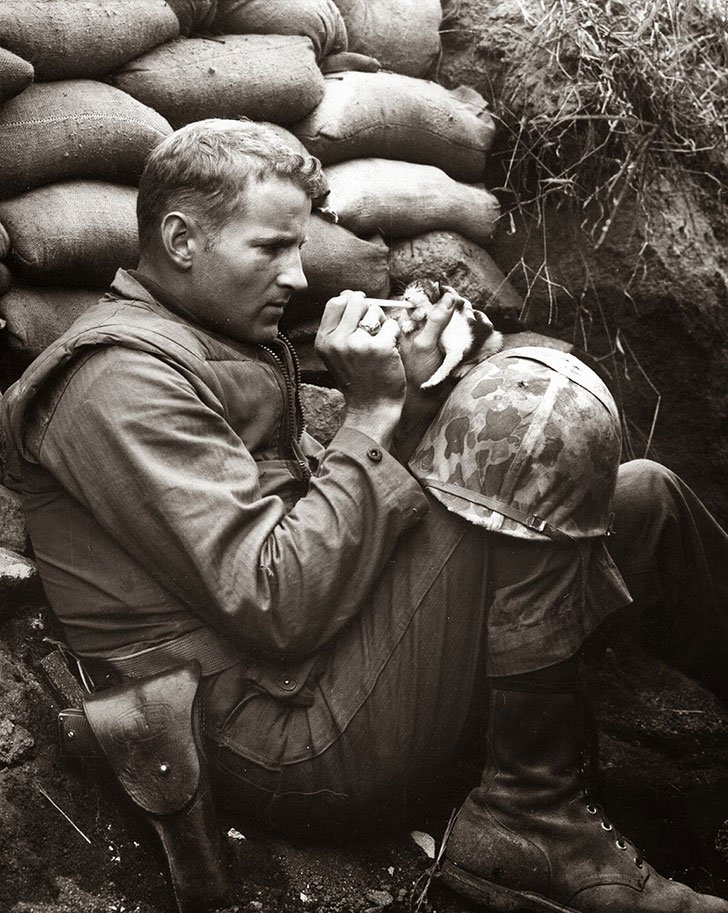 A soldier on the frontline tried to save a kitten – 1952
