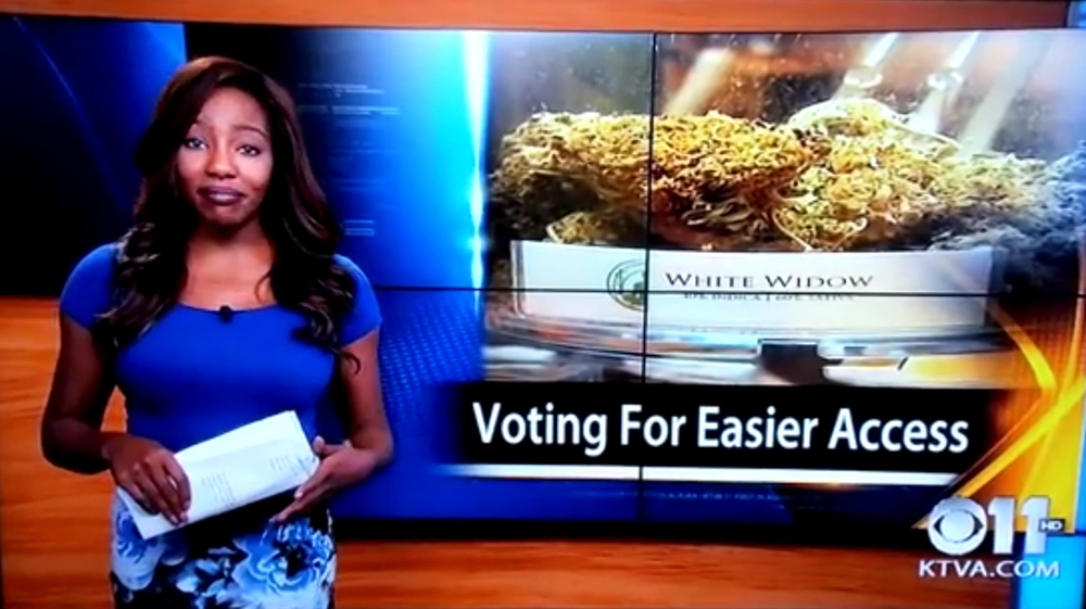 Reporter Gives Up Job For Cannabis Club