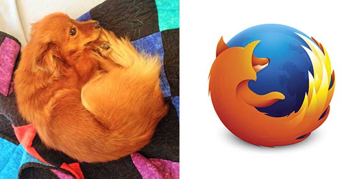Firefox Dog.