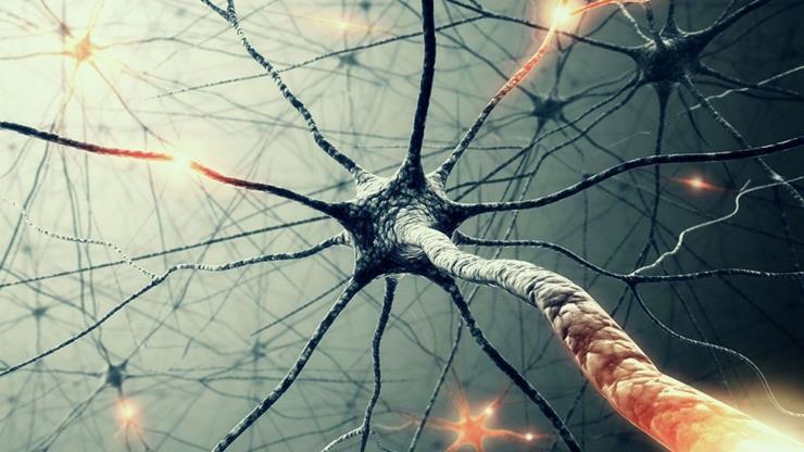 Mind Reframed