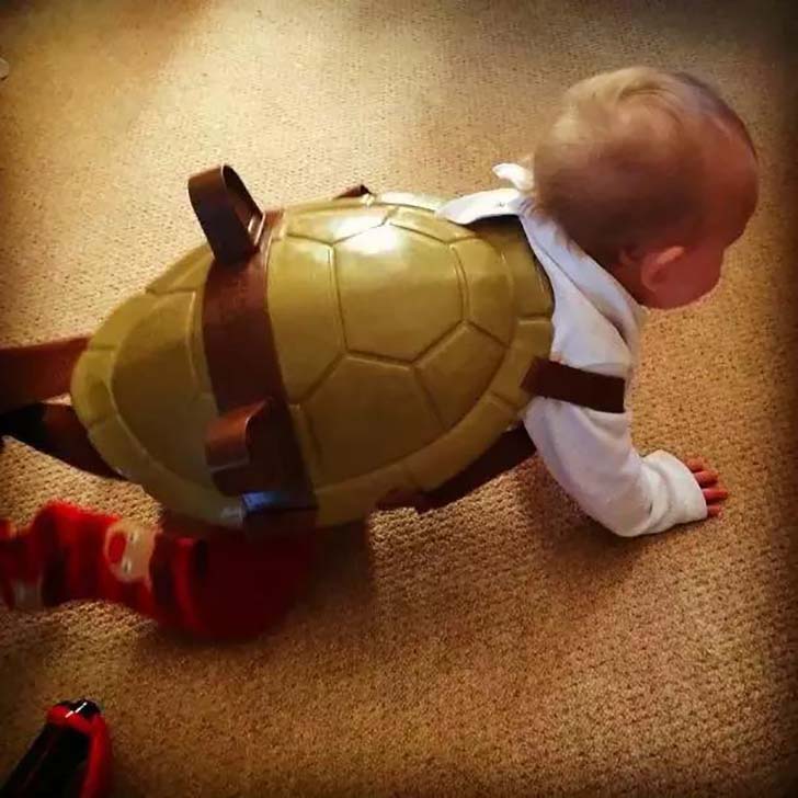 Ninja Turtle