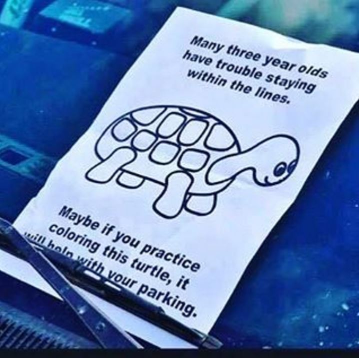 Turtle, Turtle