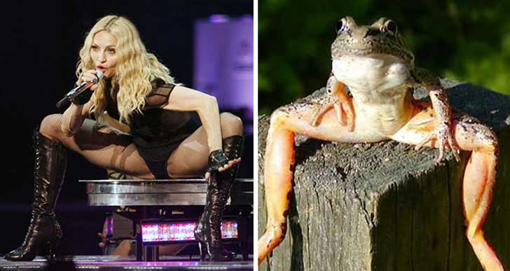 Madonna Looks Like A Frog.