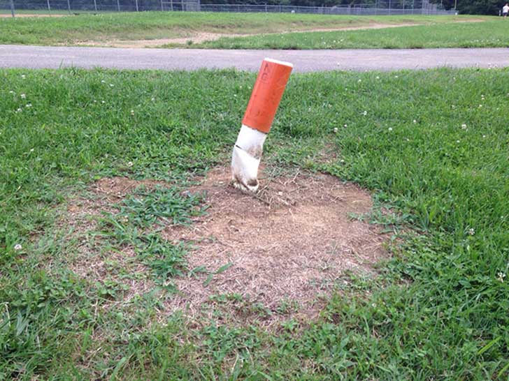 The Pylon In A Park Looks Like Someone Extinguished A Giant Cigarette Into The Ground.